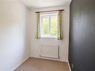 Picture 23